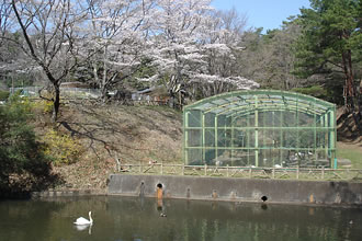 鳥獣センター