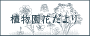 植物園花だより
