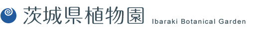 茨城県植物園