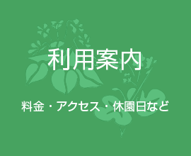 利用案内
