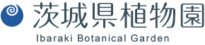 茨城県植物園