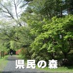 県民の森