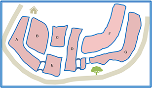 図